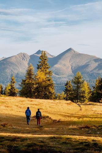 Lasaberg-mit-Preber-im-Hintergrund-1-von-Anna-Marie-Trattner
