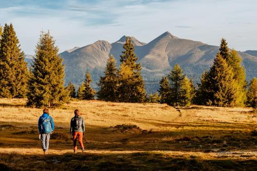 Lasaberg-mit-Preber-im-Hintergrund-2-von-Anna-Marie-Trattner